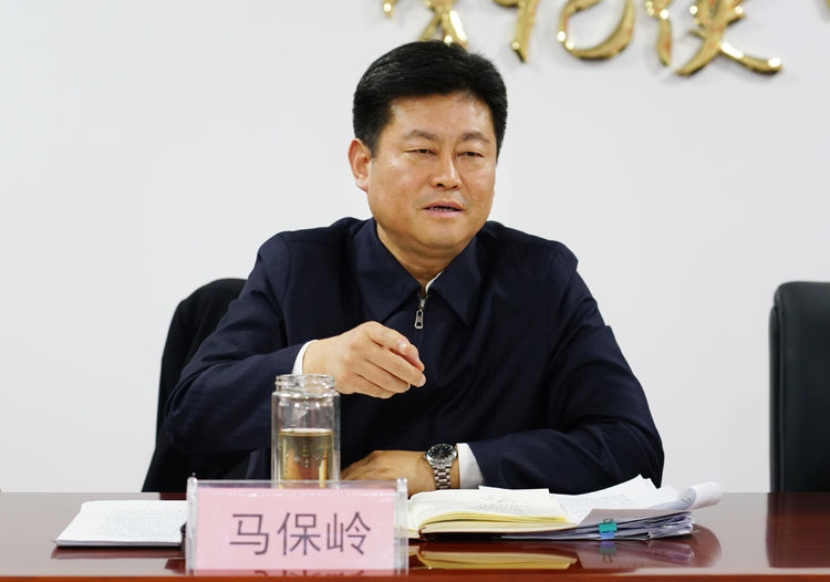 区委书记马保岭调研农村三变改革和两委换届工作